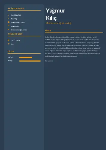 Okul Öncesi Öğretmeni Öğretmenliği Cv Örnekleri cv indir